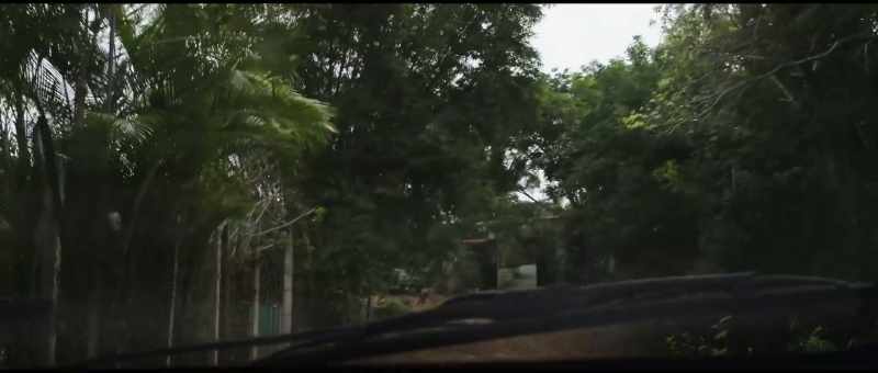 The police investigation into John's murder