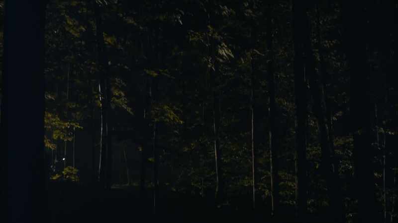 The portion of the trail where he was found