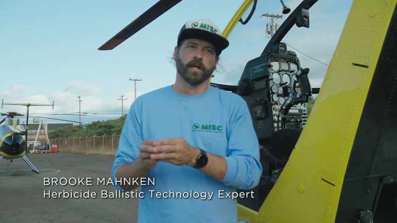 The potential for one seeding plant