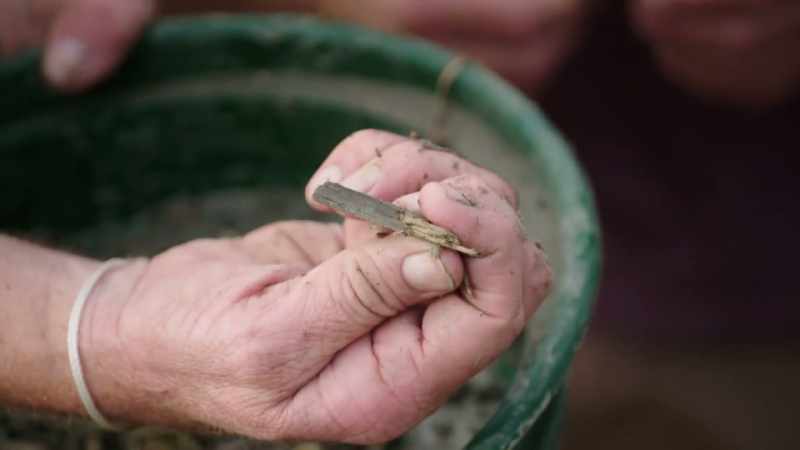 The preservation, the natural preservation