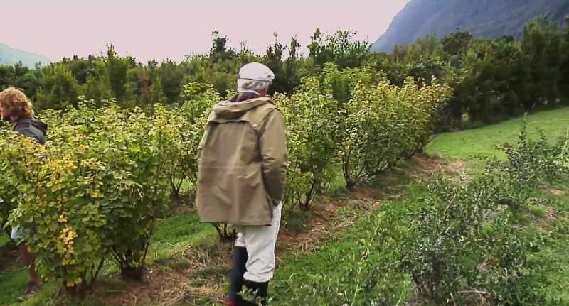 The primary purpose was to protect the land