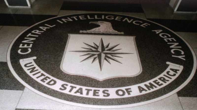 The program began in the US Defense Intelligence Agency