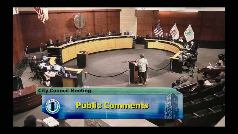 The public speaker is allowed to speak about something