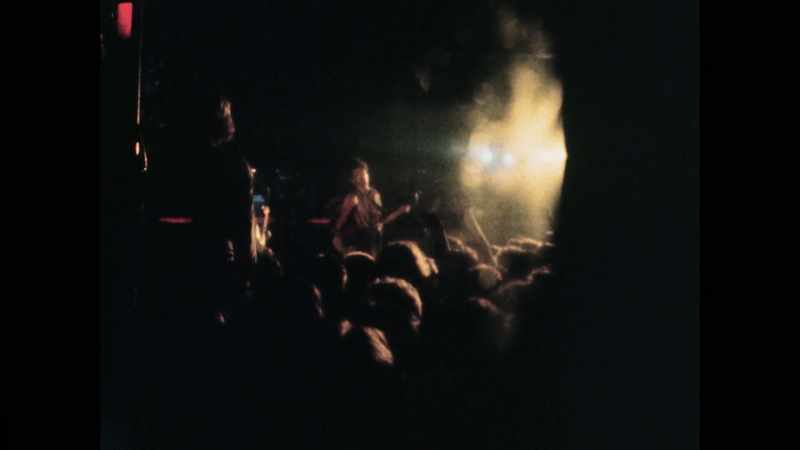The punks, Britpop, into the Libertines, into Amy