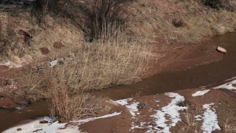 The rancher who owned them rode out to parley