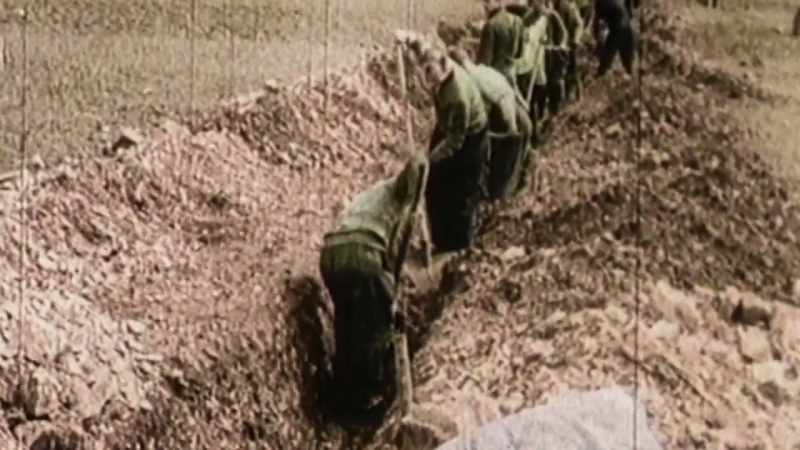 The rate of death among those forced laborers