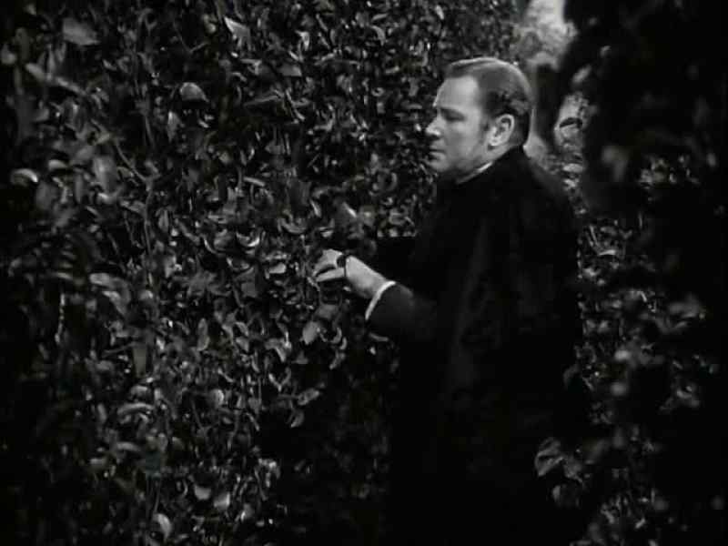 The raven Dickon