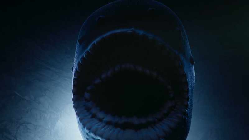 The real Saccorrhytus coronarius was actually quite small