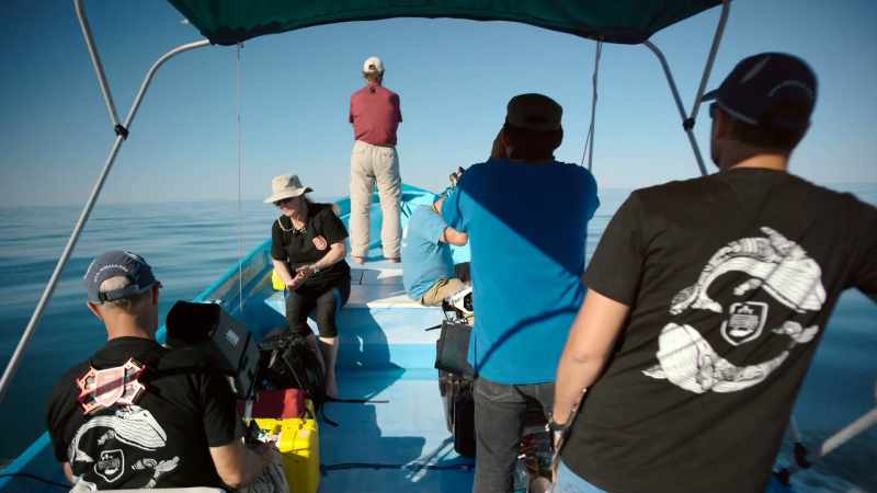 The reality is, it's very difficult to collect data on whales