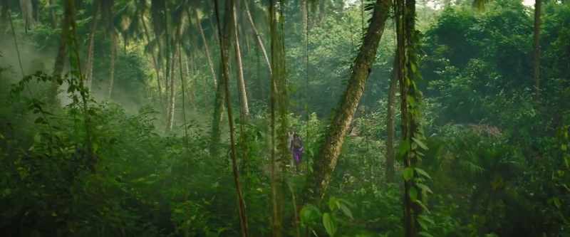 The really odd one that had the vlog on finding Montezuma's treasure