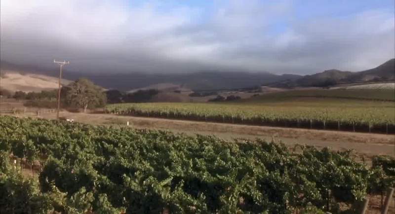 The reason that this region is so good for pinot