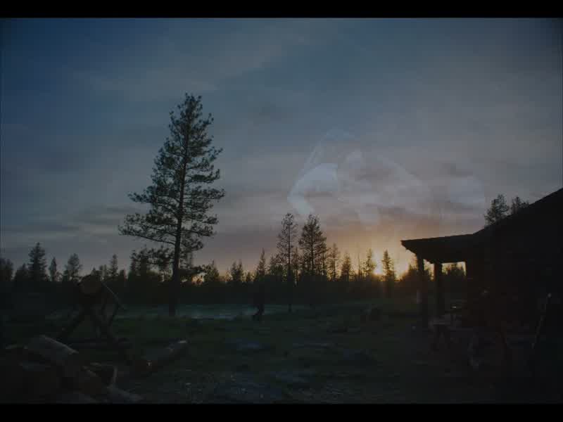 The rebuilt cabin looked much like the first one