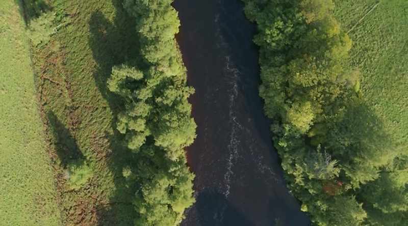 The remarkable solution was to create their own flood