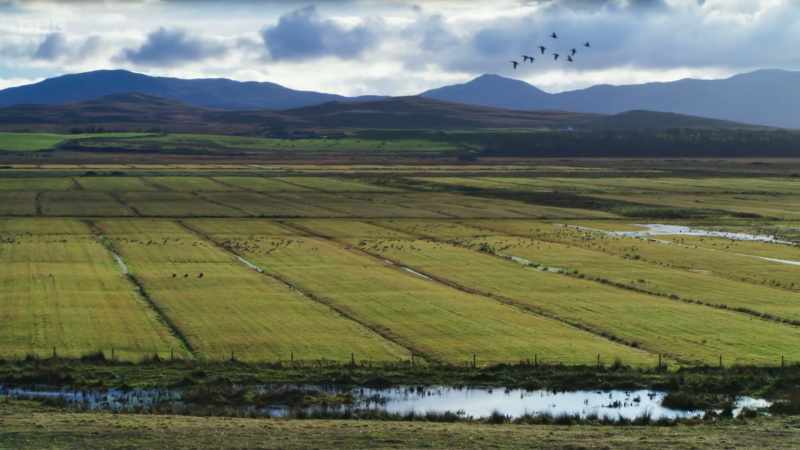 The reserve is part of a working farm
