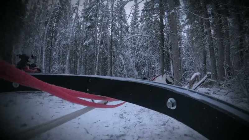 The rest of this sled practically caved in when I hit that tree