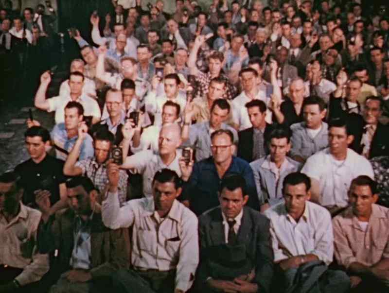 The right to vote on every issue