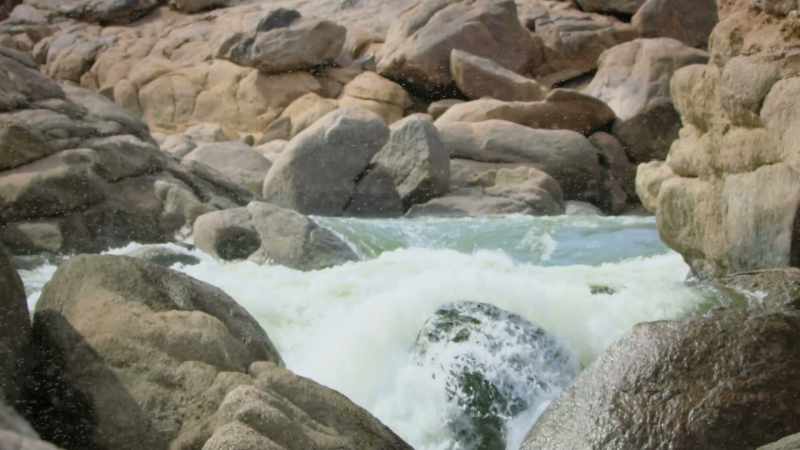 The river is a breeding ground for blackflies