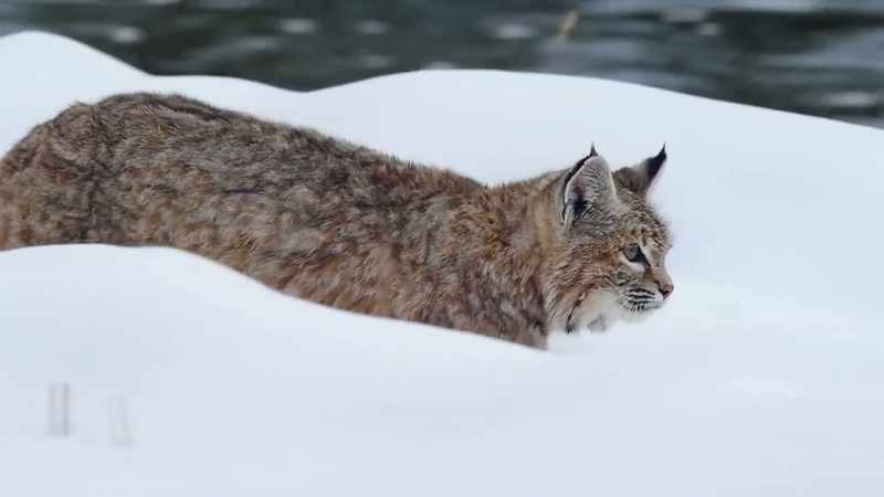 The river is all he has