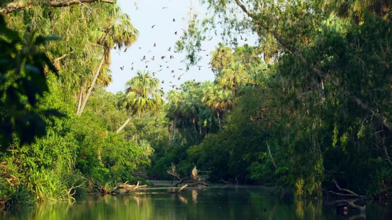 The river is their only salvation