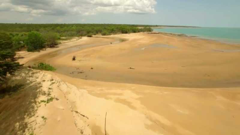 The rivers and estuaries crocodiles live in