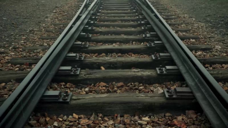 The road to Auschwitz was paved