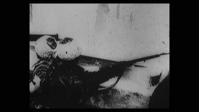 The Romanovs can actually hear guns