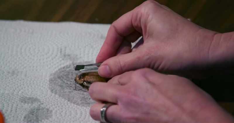 The rough surface will ensure