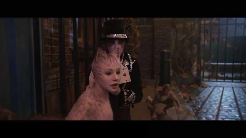 �� The Rum Tum Tugger is a terrible bore ♪
