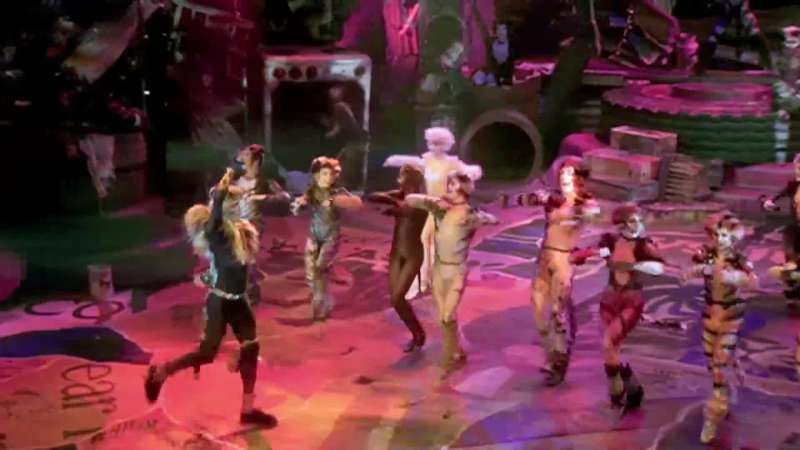 The Rum Tum Tugger Is a terrible bore
