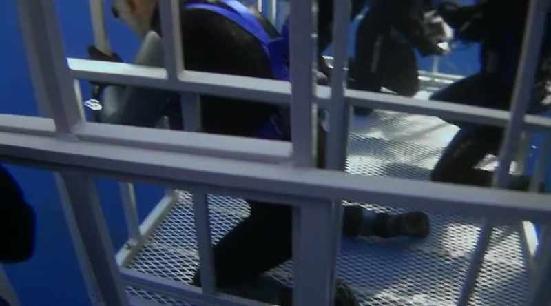The safety net for divers is an aluminum cage