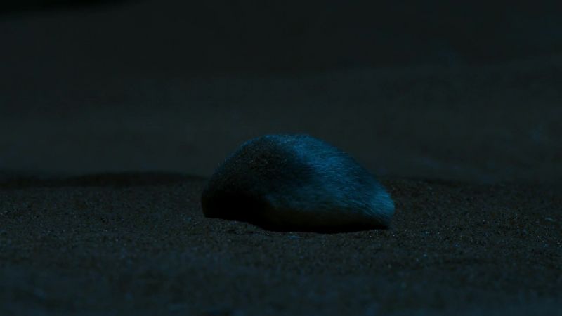 The sand is the mole's only escape from biting termites