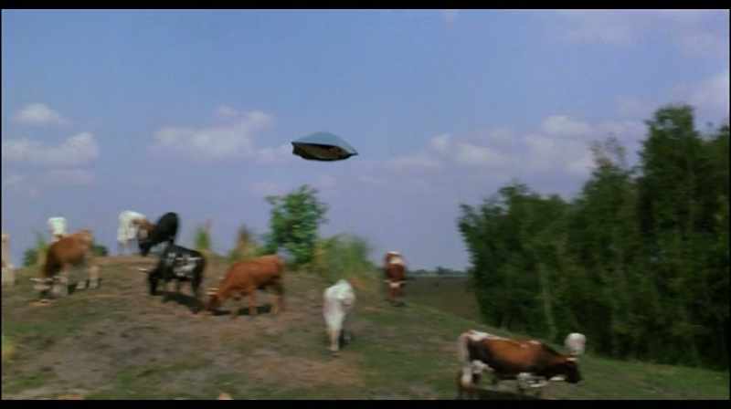 The script was children, special effects and animals