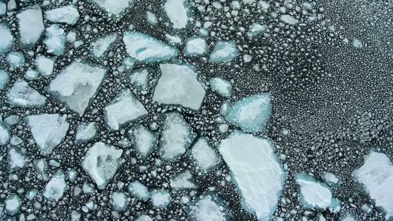 The sea ice breaks up every year