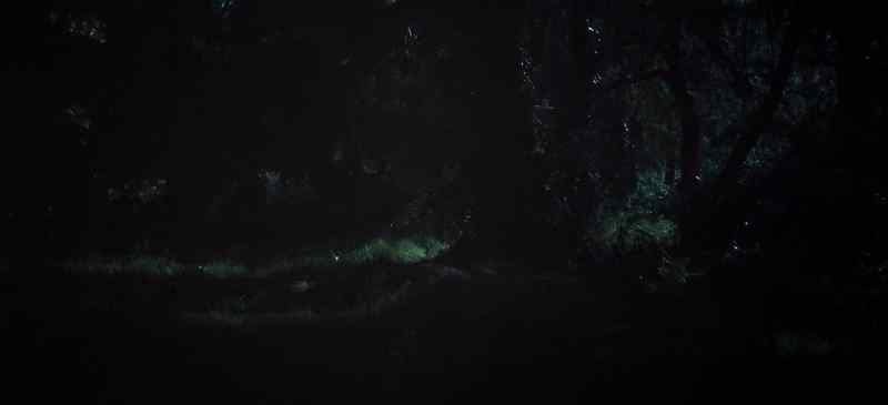 THE SERPENT'. Eve