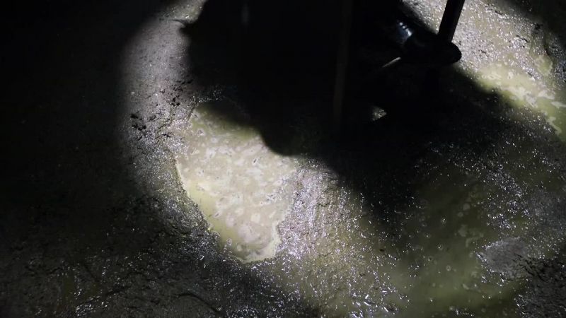 The sewers