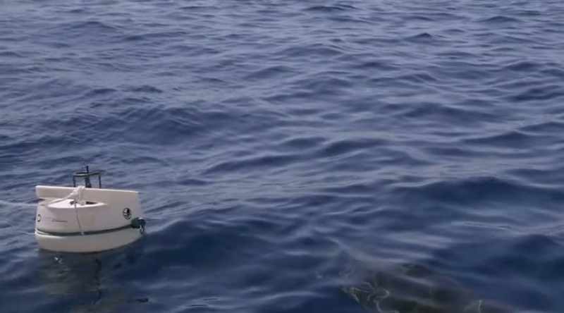 The shark gets closer and closer with each pass