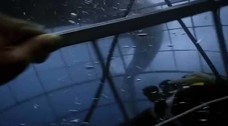 The shark ignored a diver outside the cage