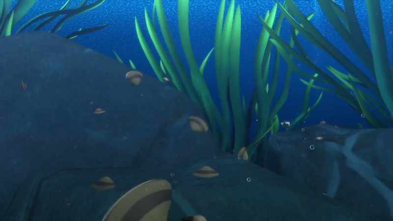 The shells have zebra stripes, and they're heart-shaped!