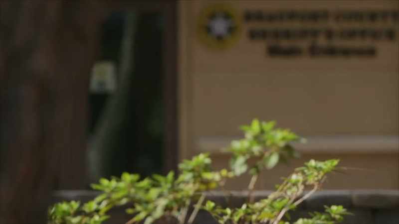 THE SHERIFF'S OFFICE WAS GETTING ENDLESS, ENDLESS TIPS