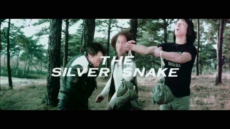 The Silver Snake