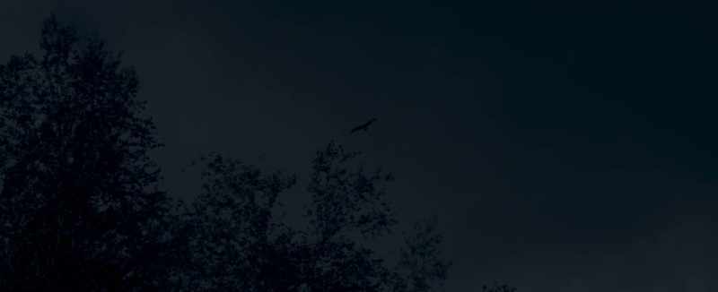 The sky