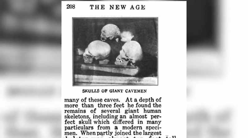The Smithsonian was out buying these skeletons
