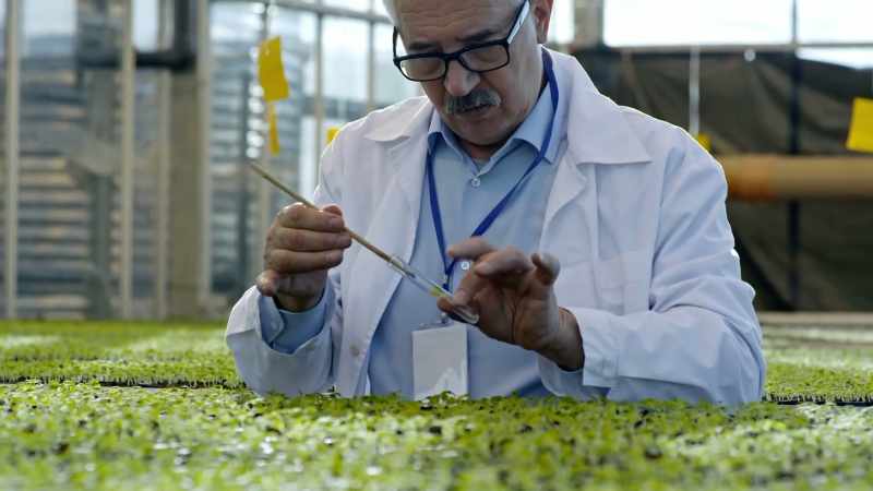 The soil samples taken by Green