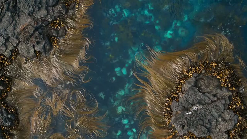 'The sooner she reaches the open ocean