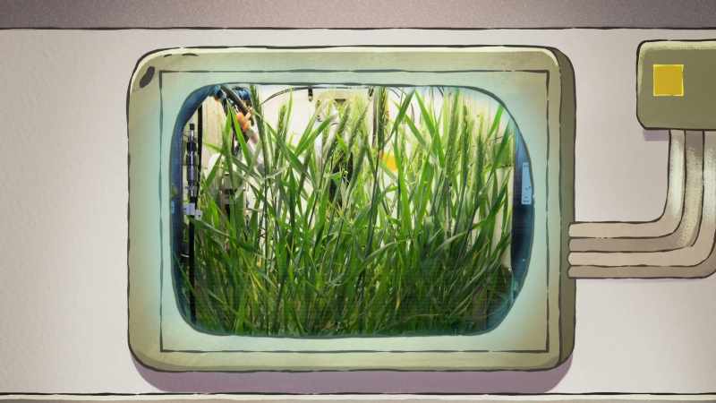 The space station's experimental garden