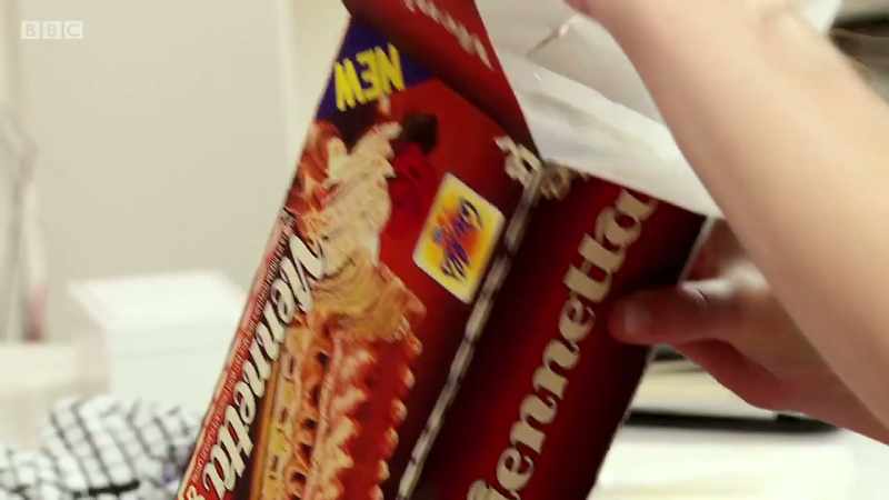 'The spectacular ice cream dessert, called Viennetta.'