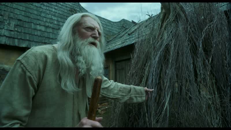 The Spirit of the Forest