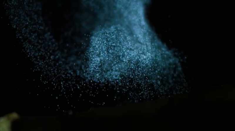 The spores are extremely tiny