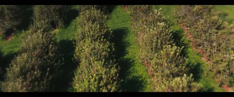 The steep croplands around the world, darling