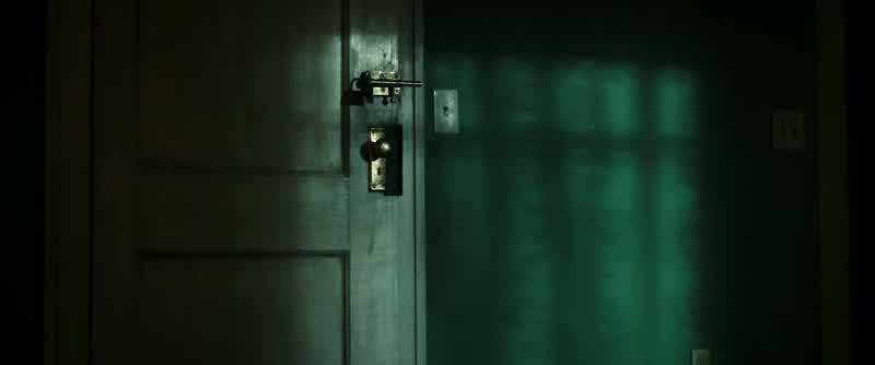 The storm cellar door
